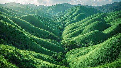 Lush green hills and mountains with dense vegetation and rolling terrain. Scenic landscape of vibrant greenery and natural beauty.