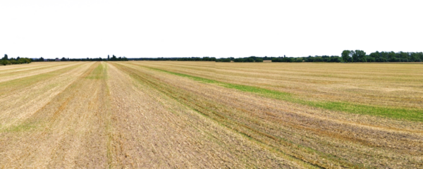 harvested empty agricultural field in autumn with sky isolated on white or transparent png