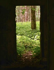 Obraz premium Looking outside from the door frame