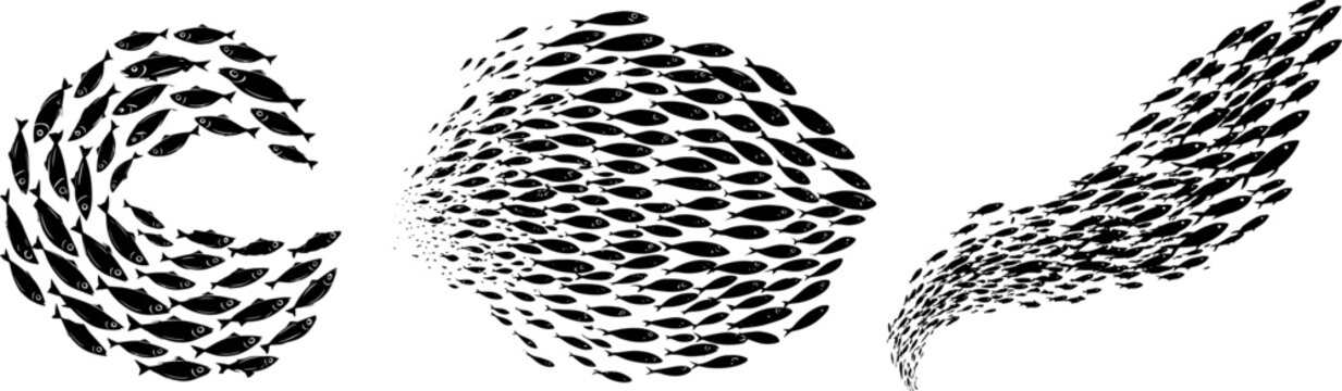 School of fish silhouette. Fishes shoal black logo design, tuna swarm salmon curve line swim in river circle shape group aquarium animals silhouettes in water vector illustration