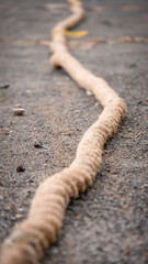 A close-up view of a thick, coarse rope lying on a rough asphalt surface, drawing attention to the texture and fibrous details.