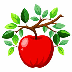 vector illustration of an apple