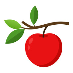 apple with leaf