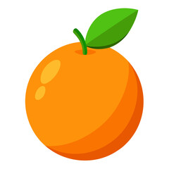 orange fruit vector illustration