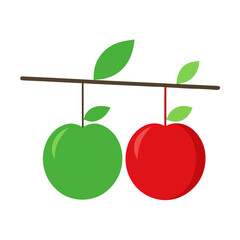 red apple with green leaves