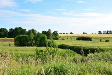 Picturesque Meadow Under a Blue Sky with green and yellow fields and some trees