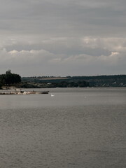 Tranquil Lake with Swan and Overcast Sky