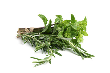 Different fresh green herbs isolated on white