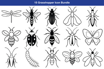 Detailed collection of various insects in black and white line art