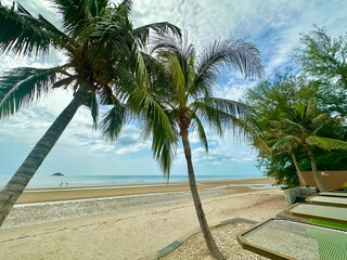 This picturesque coastal scene features a tranquil beach lined with tall palm trees gently swaying...