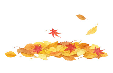 落ち葉 イラスト 水彩