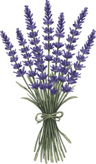 Naklejka premium Bouquet of lavender flowers tied with a ribbon isolated on black background isolated on white background isolated on transparent background
