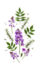 Isolated Purple Flower Arrangement on Black Background