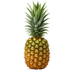 Fototapeta premium Isolated Ripe Pineapple on Black Background