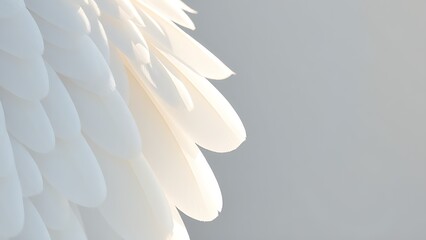 Fototapeta premium Close-up of delicate white feathers, highlighting nature's elegance and intricate beauty.