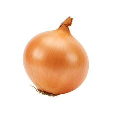 Isolated Photo Realistic Whole Onion on Transparent Background