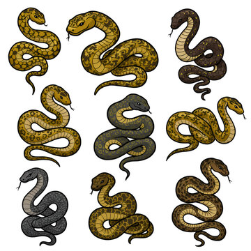 Pixel Art Illustration Set of Nine Snakes on Black Background