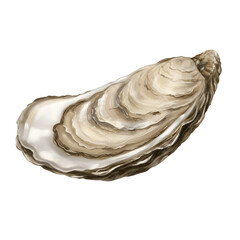 Realistic Illustration of Single Oyster Shell on Transparent Background