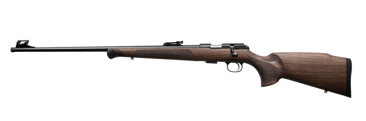 22 Caliber Sporting Rifle
