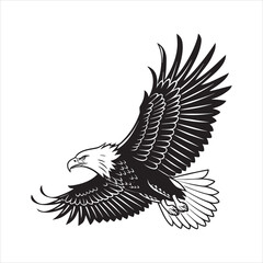eagle vector illustration