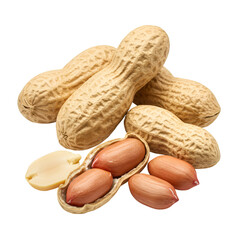 Realistic Peanuts in Shell and Opened With Seeds on Transparent Background