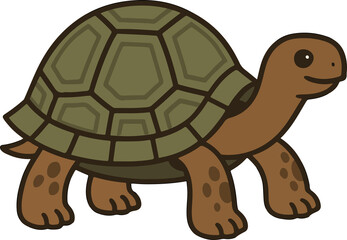 tortoise vector illustration