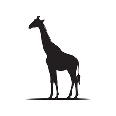 Elegant Giraffe Silhouette Standing Tall Against a Clean White Background