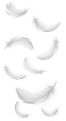 Realistic Illustration of Falling White Feathers