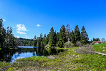étang de la gruère, la gruère, See, Moorsee, Moor, Weiher, Hochmoor, Wanderweg, Spiegelung, Wasserpflanzen, Wald, Waldweg, Wasserpflanzen, Torfmoos, Jura, Naturschutz, Frühling, Sommer, Schweiz