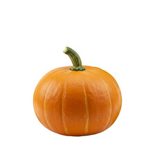 Realistic Isolated Pumpkin on Transparent Background