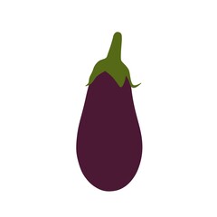 Eggplant illustration isolated on white background