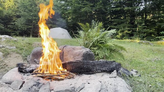 Relaxing campfire in forest with crackling fire sound
