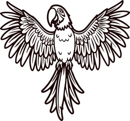 Obraz premium Open wings line art parrot illustration exotic tropical bird black outline drawing with detailed feathers isolated
