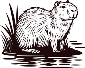 Obraz premium Hand drawn capybara by water with grass vintage engraved illustration with natural habitat detail