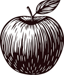 Hand drawn apple with leaf illustration in vintage engraved style, detailed black and white fruit sketch