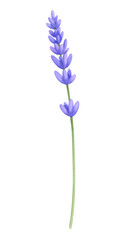 Obraz premium Pixel Art Lavender Sprig: Purple Flower Graphic