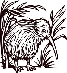 Obraz premium Hand drawn kiwi bird in grass with tropical leaves vintage engraved black and white illustration