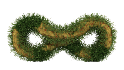 Infinity Symbol Formed from Lush Green Grass and Winding Path
