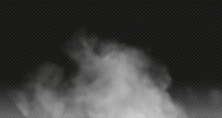 White steam spray and abstract water vapor isolated on a black background. Texture concept: cold fog or hot steam, fog and cloud for air pollution design, smog. png