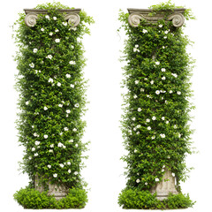 Two Stone Pillars With Vines and White Flowers Isolated