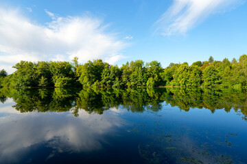 Fototapeta premium The basses Godernes Sensitive Natural Area along the Seine river in Île-de-France Region