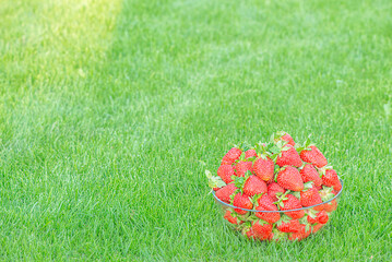 strawberries in a transparent plate on a green lawn