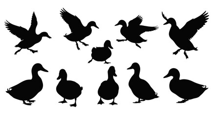 set of Duck Silhouette isolated on white background Minimalist duck vector illustration
