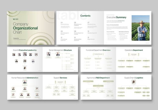 Organizational Chart Template for Company Org Chart, Corporate Hierarchy & Executive Team Structures