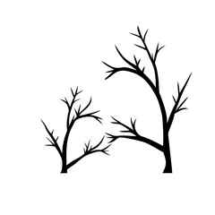 Obraz premium Tree Branch Silhouette Against Fiery Golden Sky