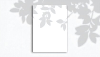 Blank paper with leaf shadows (1)