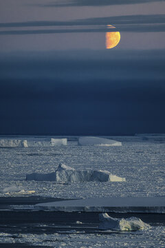 View of a golden moon ascends over the frozen expanse, casting an ethereal glow on the icy terrain in the remote wilderness, Seymour Island, Antarctica.