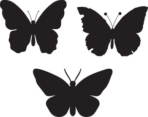 set of butterflies -set of butterflies isolated, butterfly, insect, nature, wing, vector, fly, animal, beauty, set, black, wings, summer, illustration, design, yellow, collection, art, spring, color, 