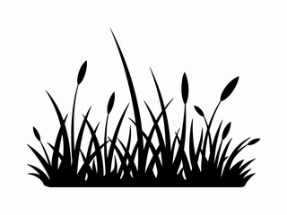 Silhouette of Cattails and Grasses against a White Background Creating a Striking Visual Impact for Design Elements © SHOHRAB HOSSAIN