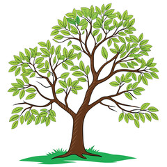 Fototapeta premium Green Leafed Tree Brown Trunk Isolated White Background
